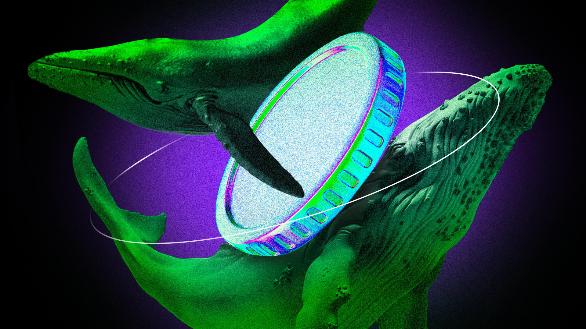 3 News Article Image Crypto Whales Bought These Altcoins in the Third Week of May 2025